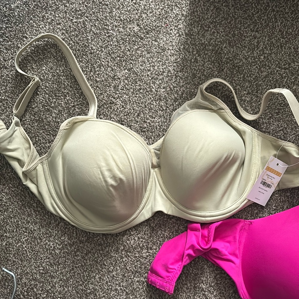 New w/tags! Delimira Bra | Sea Foam | Size 34 E